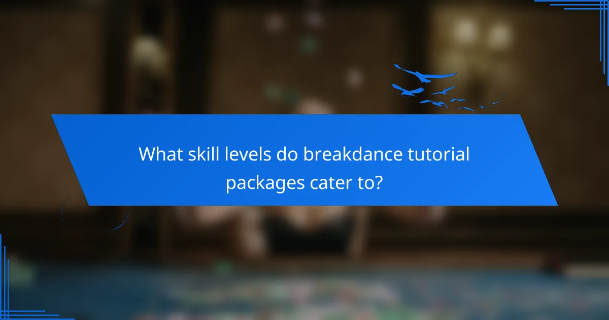 What skill levels do breakdance tutorial packages cater to?